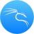 kali_logo